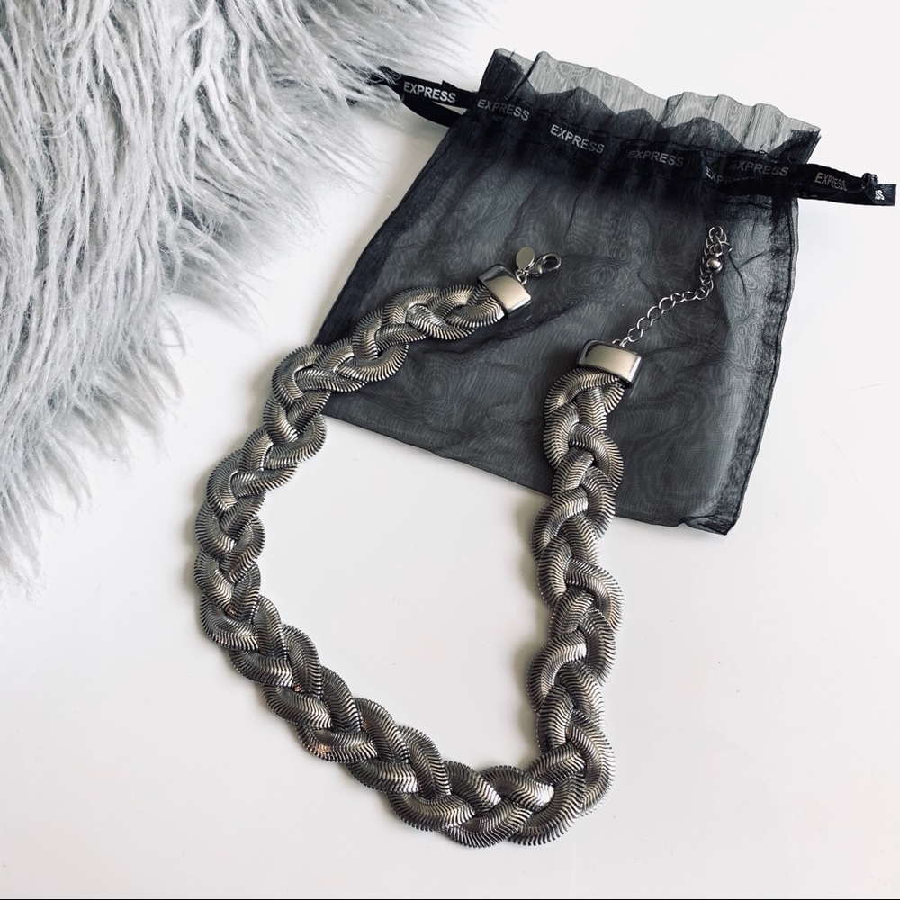 Express Silver Braided Necklace - image 1